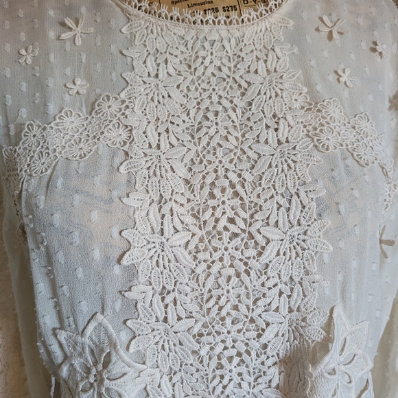 Zara Cream Ivory Swiss Dot Sheer Lace Blouse Tunic Sz M - Picture 6 of 9